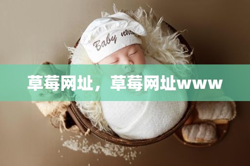 草莓网址，草莓网址www
