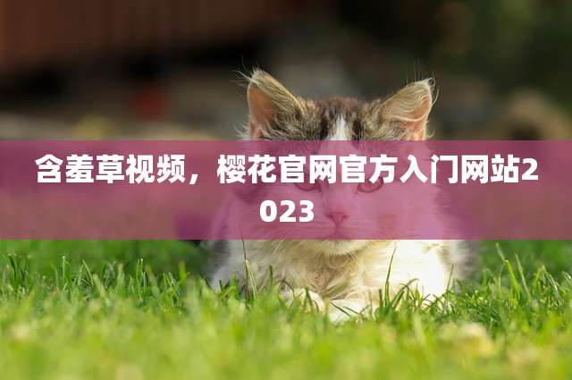 含羞草视频，樱花官网官方入门网站2023