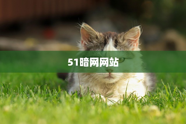 51暗网网站
