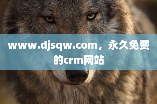 www.djsqw.com，永久免费的crm网站