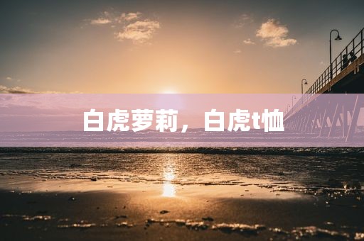 白虎萝莉，白虎t恤