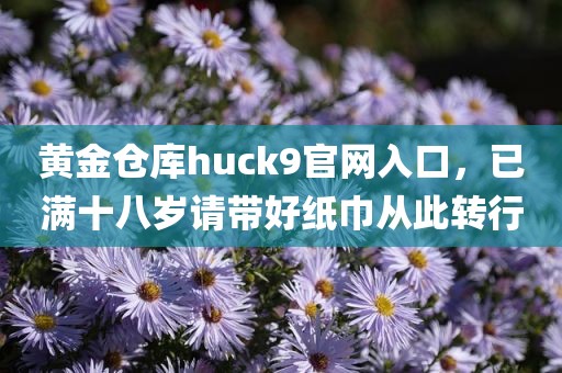 黄金仓库huck9官网入口，已满十八岁请带好纸巾从此转行