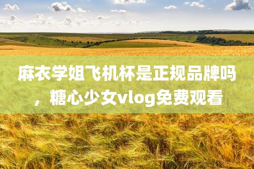 麻衣学姐飞机杯是正规品牌吗，糖心少女vlog免费观看