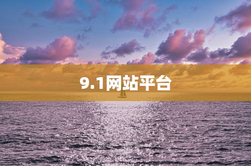 9.1网站平台
