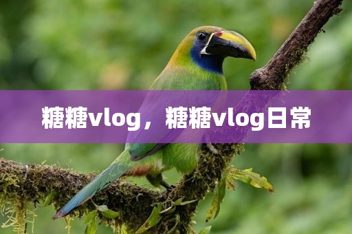 糖糖vlog，糖糖vlog日常