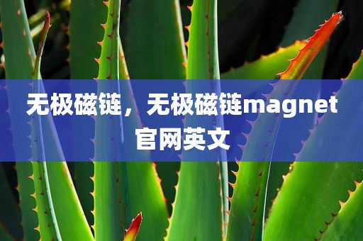 无极磁链，无极磁链magnet官网英文