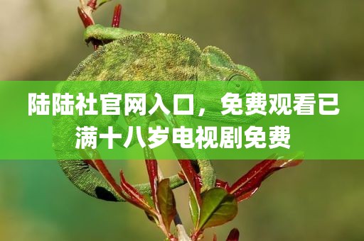 陆陆社官网入口，免费观看已满十八岁电视剧免费