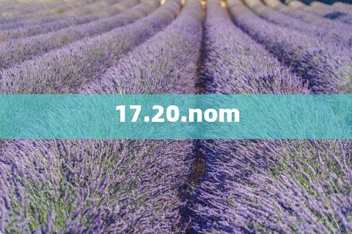 17.20.nom