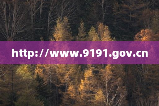 http://www.9191.gov.cn