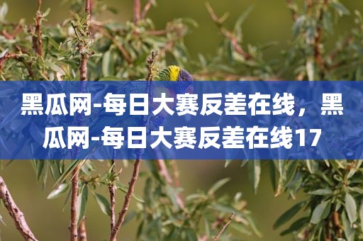 黑瓜网-每日大赛反差在线，黑瓜网-每日大赛反差在线17