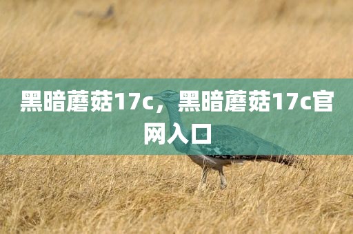 黑暗蘑菇17c，黑暗蘑菇17c官网入口