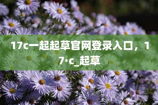 17c一起起草官网登录入口，17·c_起草