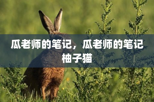 瓜老师的笔记，瓜老师的笔记柚子猫