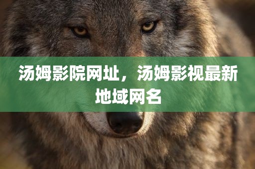 汤姆影院网址，汤姆影视最新地域网名