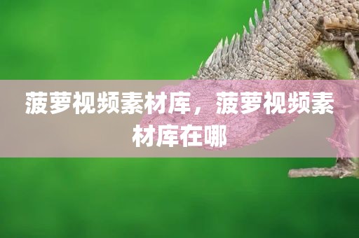 菠萝视频素材库，菠萝视频素材库在哪