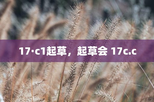 17·c1起草，起草会 17c.c
