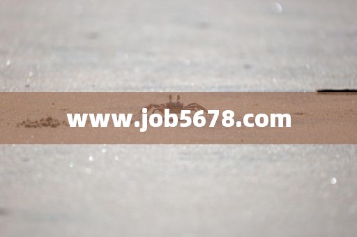 www.job5678.com