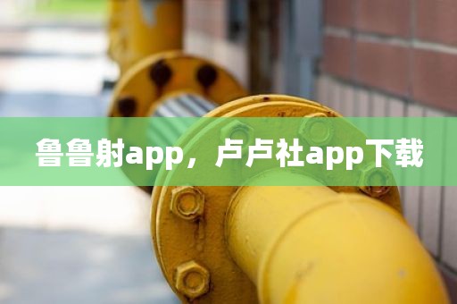 鲁鲁射app，卢卢社app下载