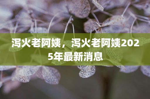 泻火老阿姨，泻火老阿姨2025年最新消息