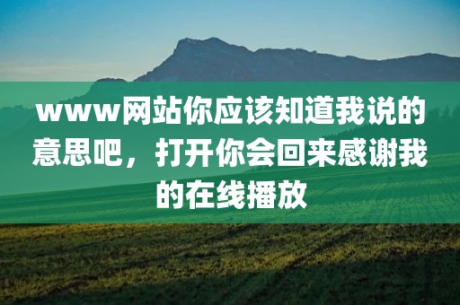 www网站你应该知道我说的意思吧，打开你会回来感谢我的在线播放