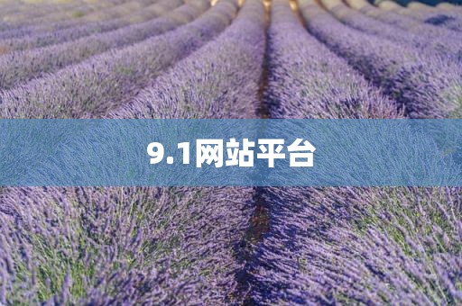 9.1网站平台