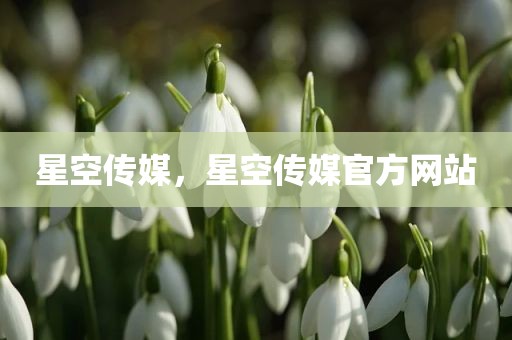 星空传媒，星空传媒官方网站