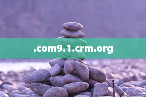 .com9.1.crm.org