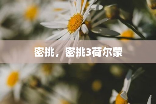 密挑，密挑3荷尔蒙
