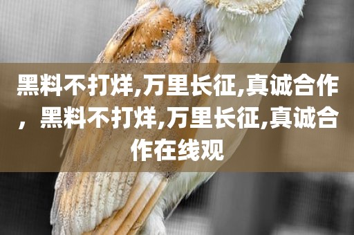 黑料不打烊,万里长征,真诚合作，黑料不打烊,万里长征,真诚合作在线观
