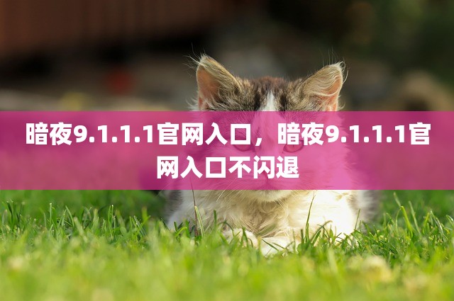 暗夜9.1.1.1官网入口，暗夜9.1.1.1官网入口不闪退