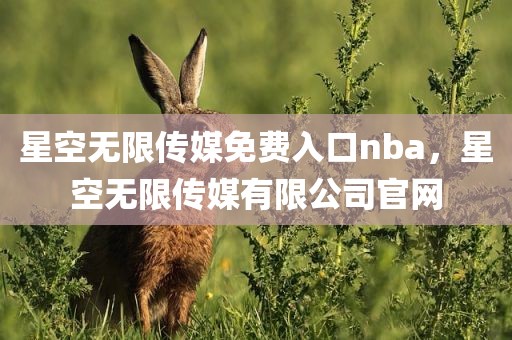 星空无限传媒免费入口nba，星空无限传媒有限公司官网