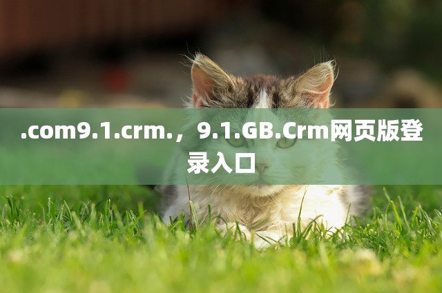 .com9.1.crm.，9.1.GB.Crm网页版登录入口