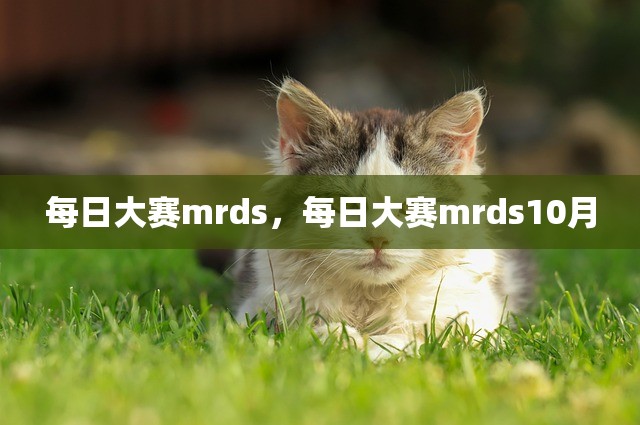 每日大赛mrds，每日大赛mrds10月