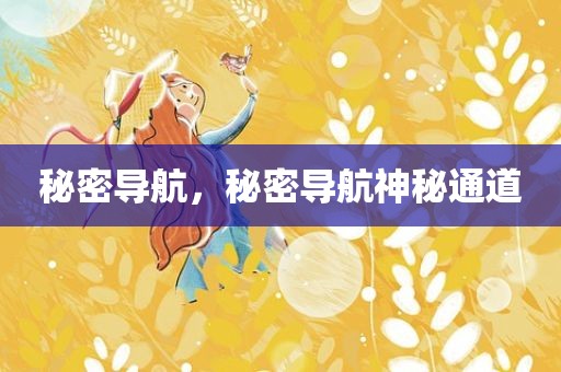 秘密导航，秘密导航神秘通道
