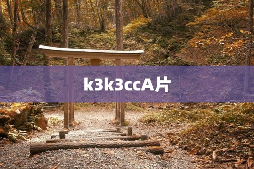 k3k3ccA片