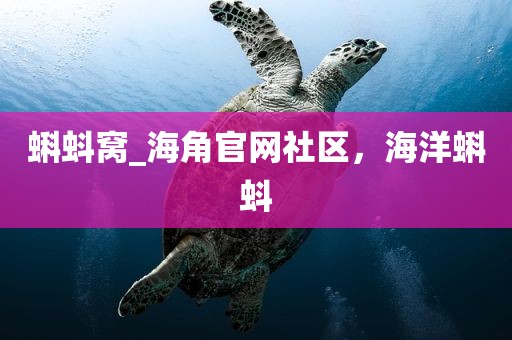 蝌蚪窝_海角官网社区，海洋蝌蚪