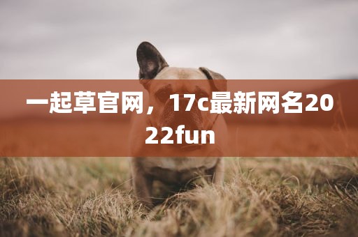 一起草官网，17c最新网名2022fun