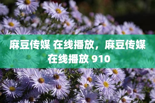 麻豆传媒 在线播放，麻豆传媒 在线播放 910