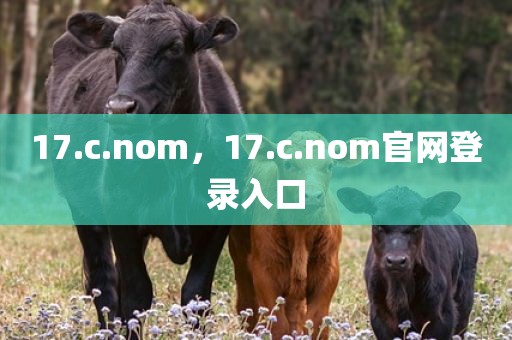 17.c.nom，17.c.nom官网登录入口