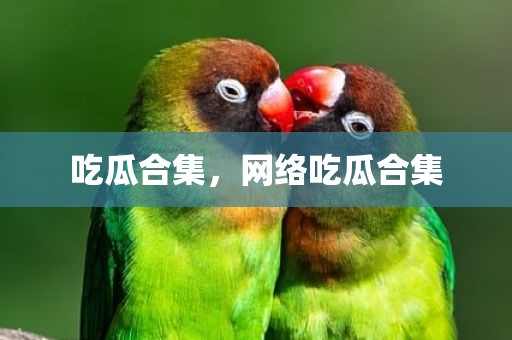 吃瓜合集，网络吃瓜合集