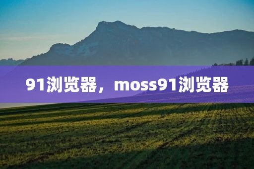 91浏览器，moss91浏览器