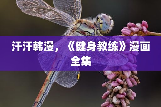 汗汗韩漫，《健身教练》漫画全集