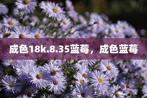 成色18k.8.35蓝莓，成色蓝莓