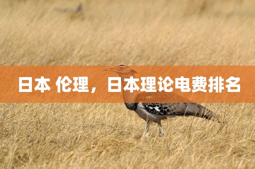 日本 伦理，日本理论电费排名