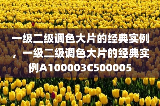 一级二级调色大片的经典实例，一级二级调色大片的经典实例A100003C500005