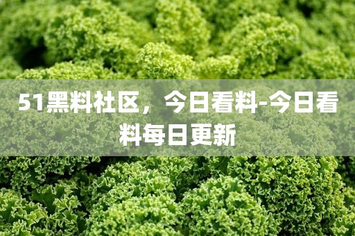 51黑料社区，今日看料-今日看料每日更新