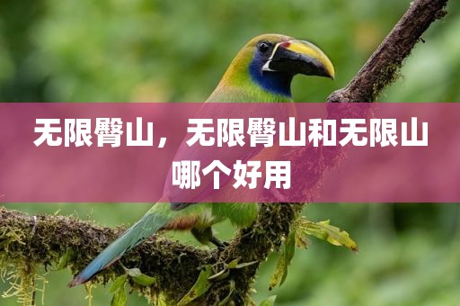 无限臀山，无限臀山和无限山哪个好用