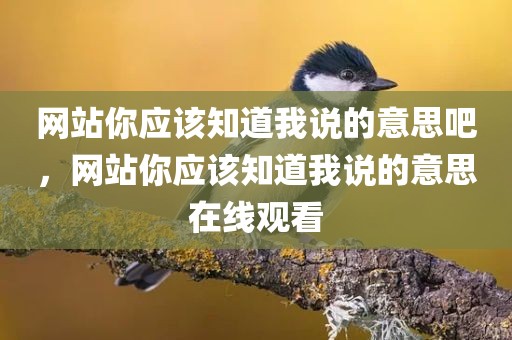 网站你应该知道我说的意思吧，网站你应该知道我说的意思在线观看