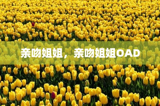 亲吻姐姐，亲吻姐姐OAD