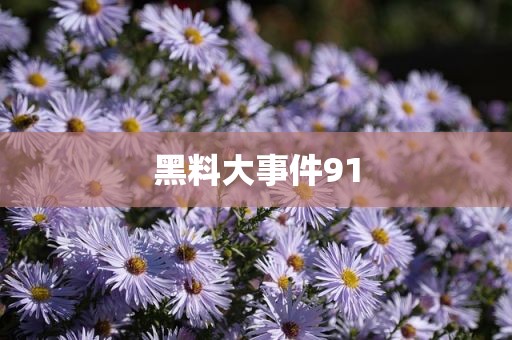黑料大事件91